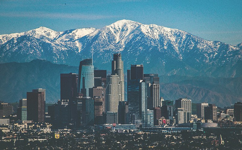 DEXA scan Los Angeles